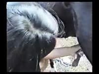 Freaky amateur amateur wife drops to her knees to engulf a large beast cock